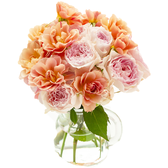 Sommerblomst i farver